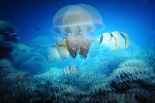 未标题-1.jpg 未标题-1.jpg