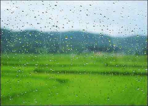 How to maintain your piezoelectric photo machine in rainy and humid weather