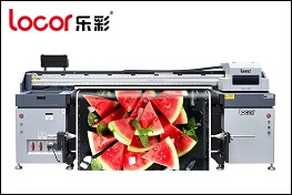 Locor LC-P8000 UV Hybird Roll Printer
